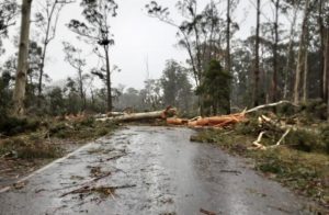 Funding for storm clean-up