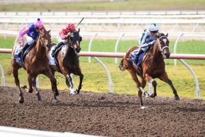 Slipper sparkles for Stokes