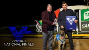 Moraine Suzie to fly flag for Victoria