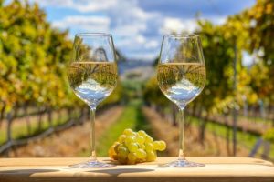The Melbourne Food and Wine Festival comes to Baw Baw