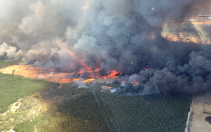 Bushfire fuel reduction petition tabled