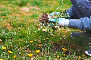 Cardinia Shire grants now open