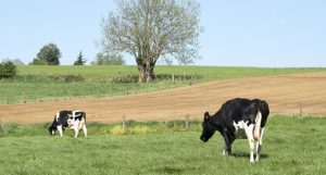 Dairy Farm Monitor reports another positive year