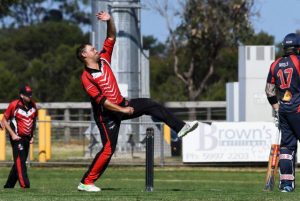 Bulls swat away the Bullants