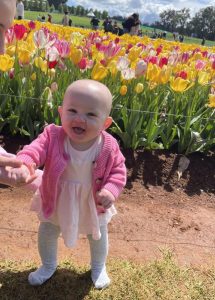 Annual walk taking big steps for premature babies