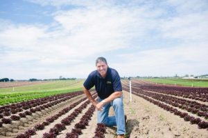 Bulmer reelected chair of AusVeg