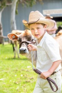 Show springs back for 150th