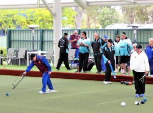 A roaring success for Lions