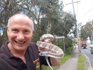Snake season well-underway