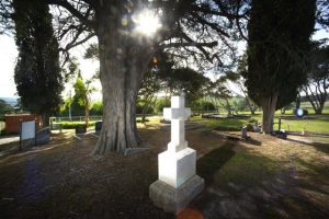 Year in Review – Paranormal events stopped