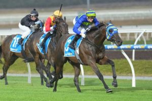 A night of high-quality at Pakenham