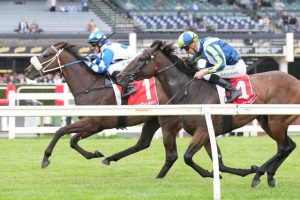 Hennessy winds things up at Hillside