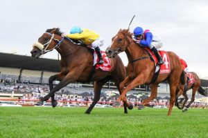 Cards fall nicely for Shuffle Dancer