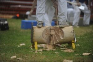 Berwick Show forced to axe wood chopping