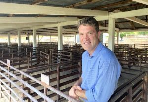 China’s post-Covid reopening provides global beef opportunities: Rabobank report