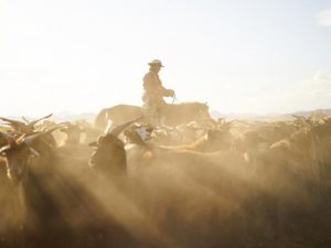 Nominate a footy playing farmer