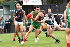 Seagulls surge past the Cobras