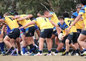 Warriors too strong for Eels