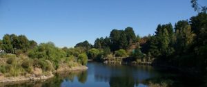 Landscapes of Casey opens