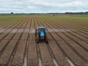 Preparation needed as big dry looms