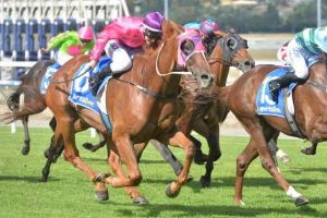 New training track for Pakenham Racing Club