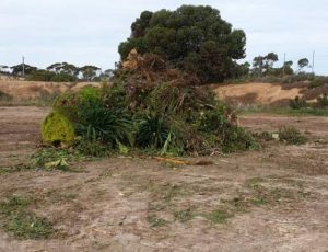 Free green waste drop-offs return