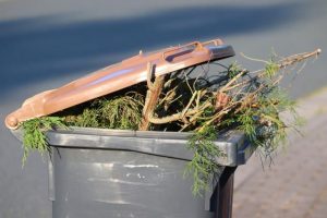 Free green waste drop-off in December