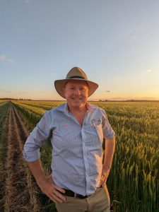 Hay market exceeds expectations