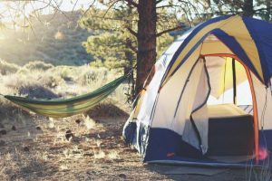 Explore the great outdoors