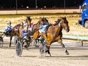 Quality field set for Cranbourne Pacing Cup