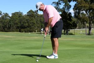 Albatross for Adams at Drouin