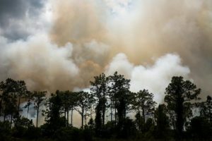 Fire Danger Period has arrived