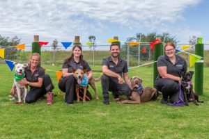 Spotlight on shelter’s unpopular pack
