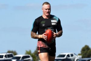 Cobras blow out the cobwebs