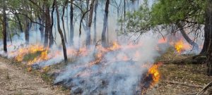 Planned burning season underway