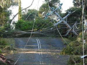 Cardinia welcomes storm support