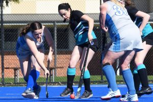 Strong weekend for Storm
