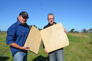 Hemp business approval to wait a little longer