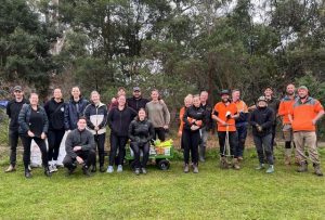 Team effort for revegetation