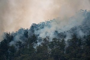 Bushfire support funding for local schools