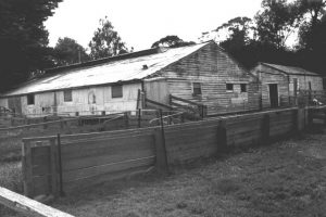 Historic milking shed demolished by industry