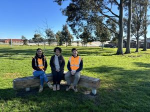Spotted gum finds new home