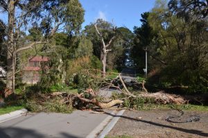 Largest wind event in 10 years set to cause more havoc