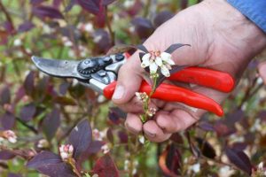 Ag exports set to take off with third runway approval