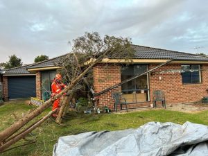 Free green waste drop-off ahead of summer