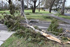 Disaster assistance available for impacted communities
