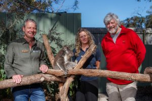 Corridors for our koalas