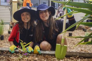 New greenery at Pakenham Springs PS