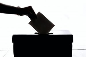 Long wait for council results