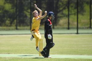 Bullants dominant but Yabbies keep nipping at their heels